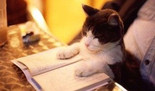 誰かに言いたくなる雑学