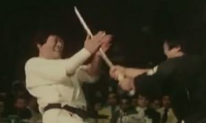 極真空手の真剣白羽どり