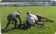 見てらんない レース後に馬が心臓麻痺で その他競走馬予後不良詰め 動画 ひろぶろ