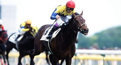 「ワイが考える最強の競走馬ランキングトップ１０ｗｗｗ」　ほか