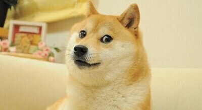 「【訃報】 世界的なミーム犬doge、亡くなる」　ほか