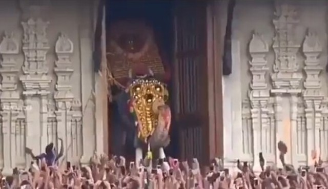 インドの最大のゾウ.jpg