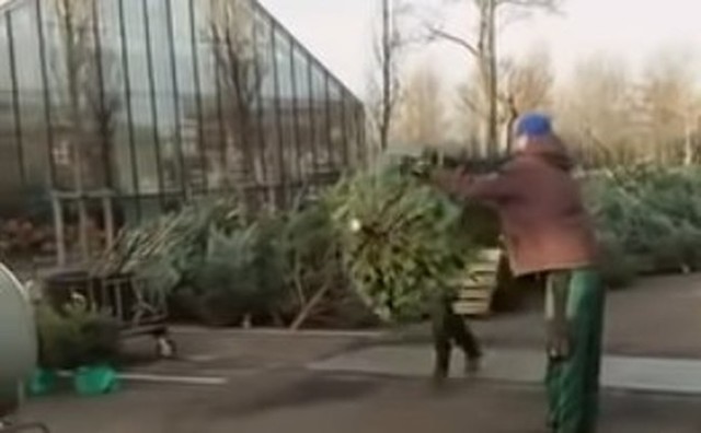 クリスマスツリーの梱包機に巻き込まれる人 (2).jpg