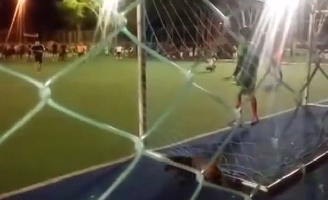 ゴールを阻止するイヌ.jpg