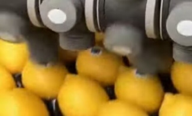 レモンにステッカーを張る機械.jpg
