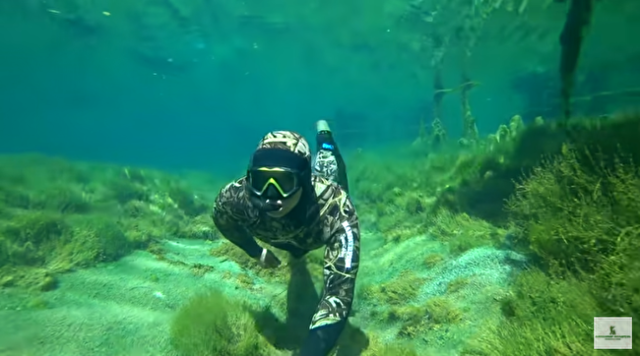 ロシアにあるタイガ湖の非現実的な光景の水中の旅.png