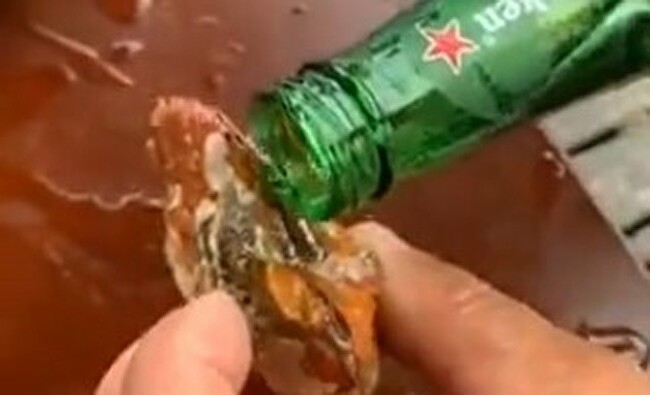 【動画】 二枚貝に「ビール」をかけたら意外な反応をした件ｗｗｗ！！