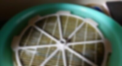 加湿器の汚れ.jpg