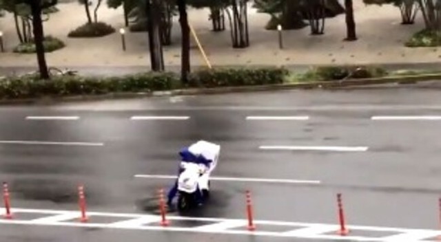 台風の日のピザ屋.jpg