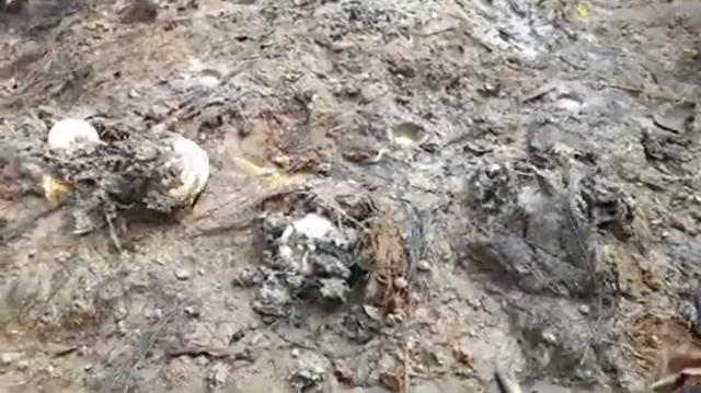 地面に火をつけると地中から卵や魚が出てくる.png