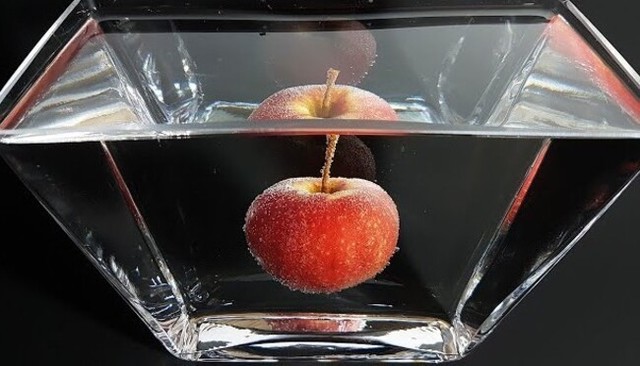水に浸けたリンゴを200日放置.jpg