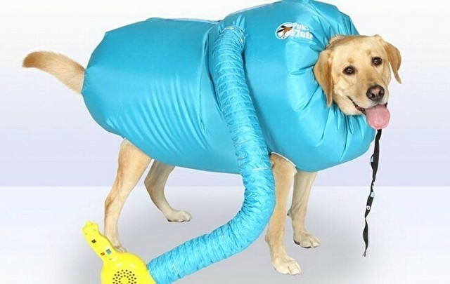 犬を乾かすスーツ.jpg