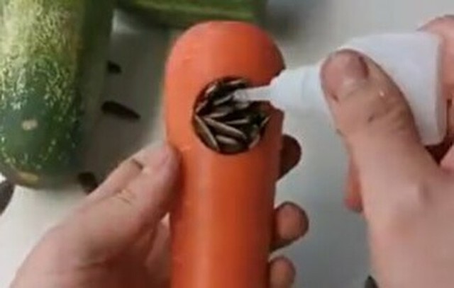 野菜で家具を補修.jpg