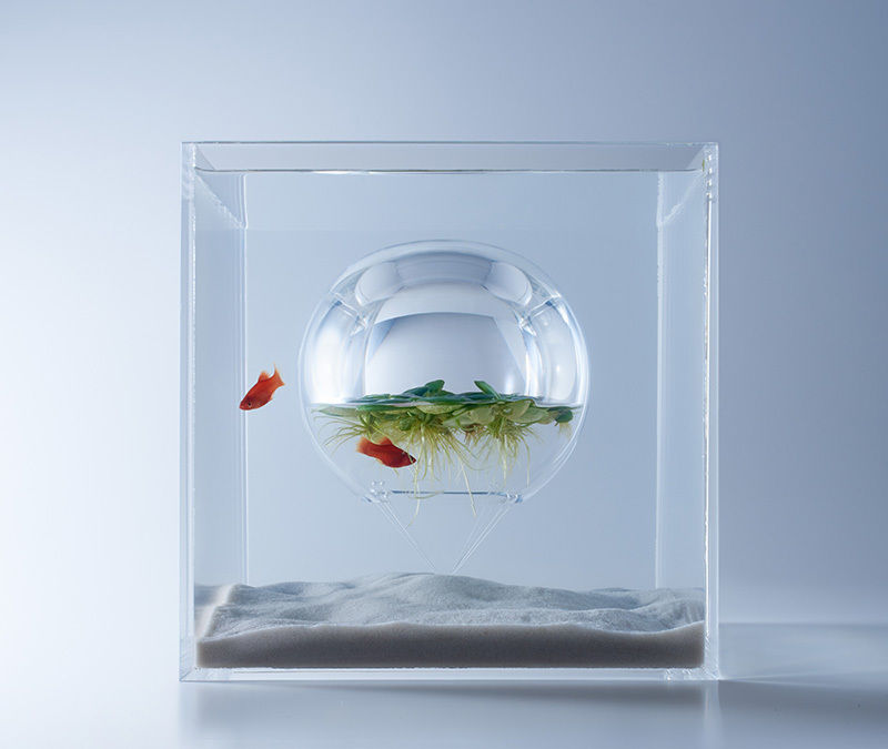 https://hiroburo001.up.n.seesaa.net/hiroburo001/image/_hiroburo3-test001_imgs_d_1_d1e05517.jpg?d=a66355977