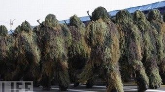 世界の変わった軍隊の画像