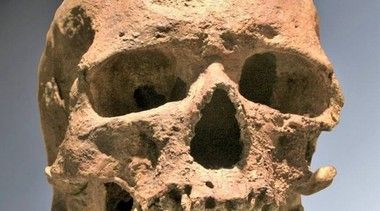 クロマニョン人の顔の復元