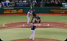 ピッチャーライナー