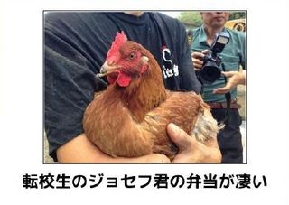日南市のボケて