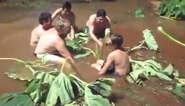 ブラジルで水中の穴に吸い込まれる人達