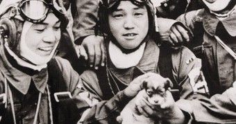 犬を抱く特攻兵に対する海外の反応