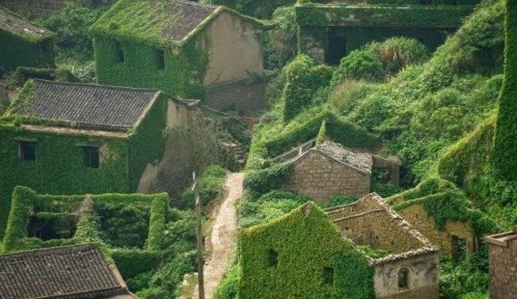 ツタに覆われた中国の農村部