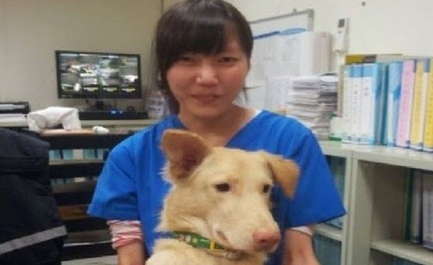 安楽死の薬を自分に打った獣医さん