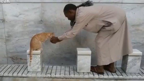 ネコに水をやるメッカのアラブ人