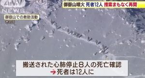 心肺停止と言う理由