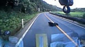 クマを撥ねるドラレコ