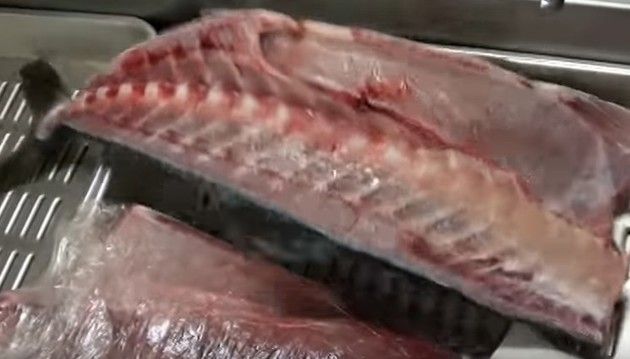 捌いた後も動くサバ