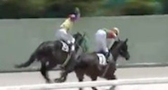 競走馬を殴るジョッキー