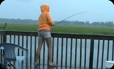 釣れた魚を食いに来る巨大なサメ