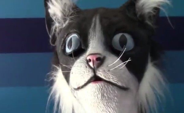 ネコのマスクで猫を驚かせる漢