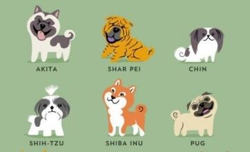 世界の犬種