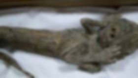 人魚の死体ぼかし2