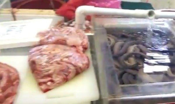 湯虫?内臓みたいな食べ物