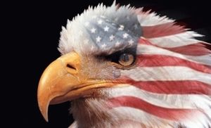 自国籍の誇り、海外の反応